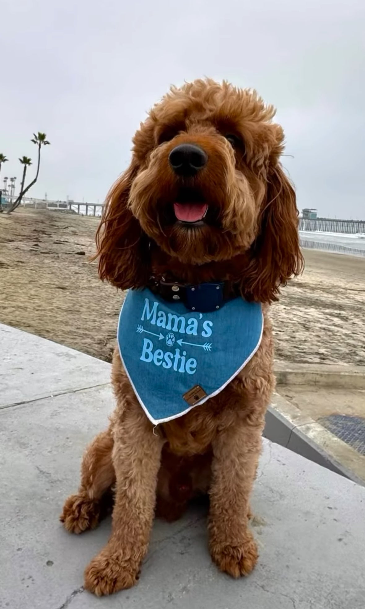 Mama’s Bestie Bandana