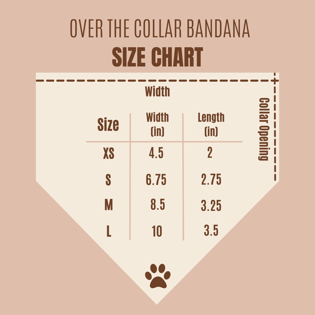 Beer Bandana