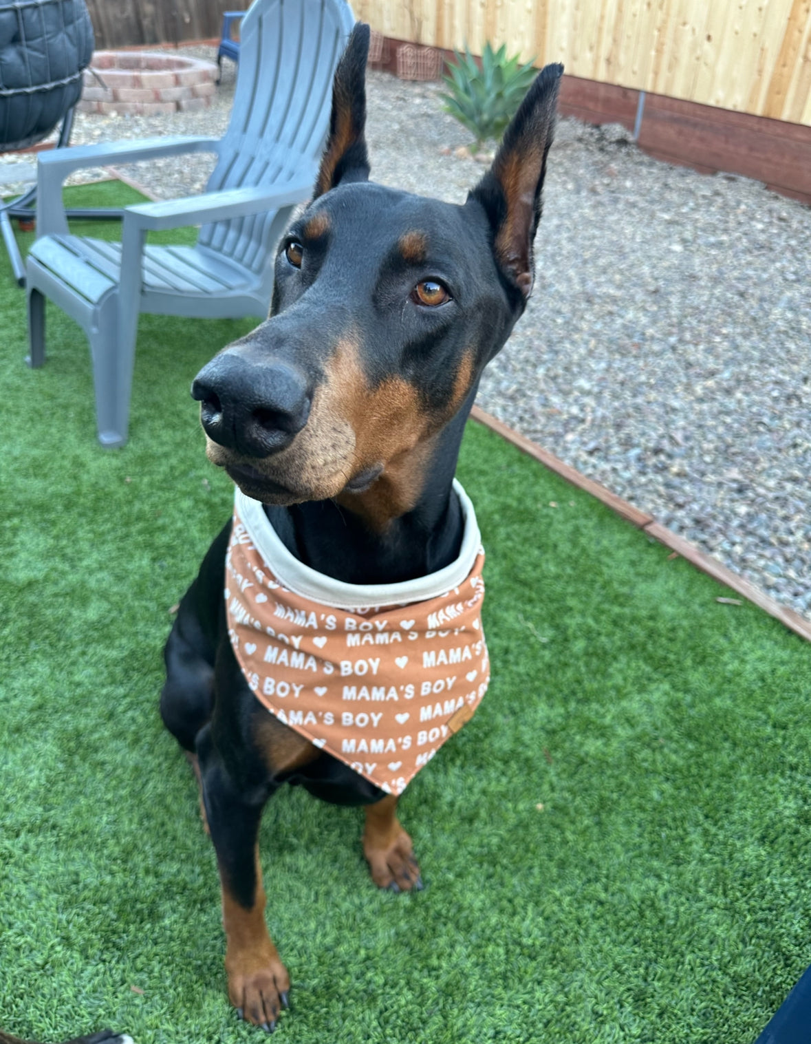 Mama’s Boy Bandana