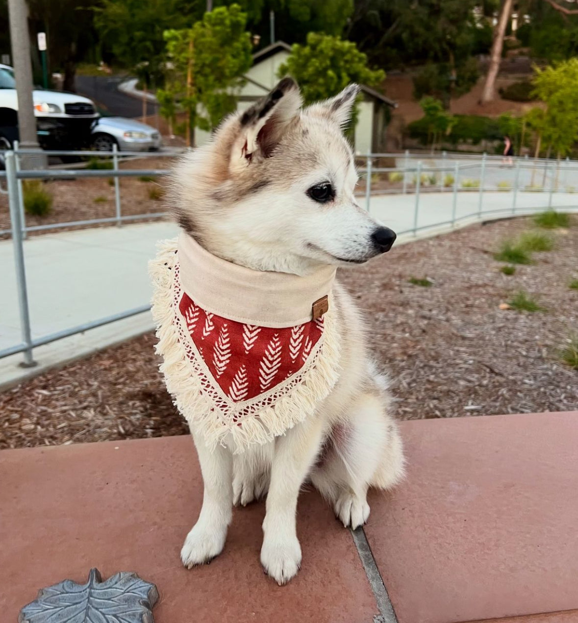 Sadie Bandana