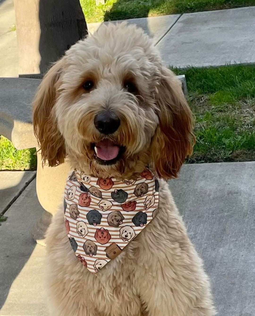 Doodle Bandana