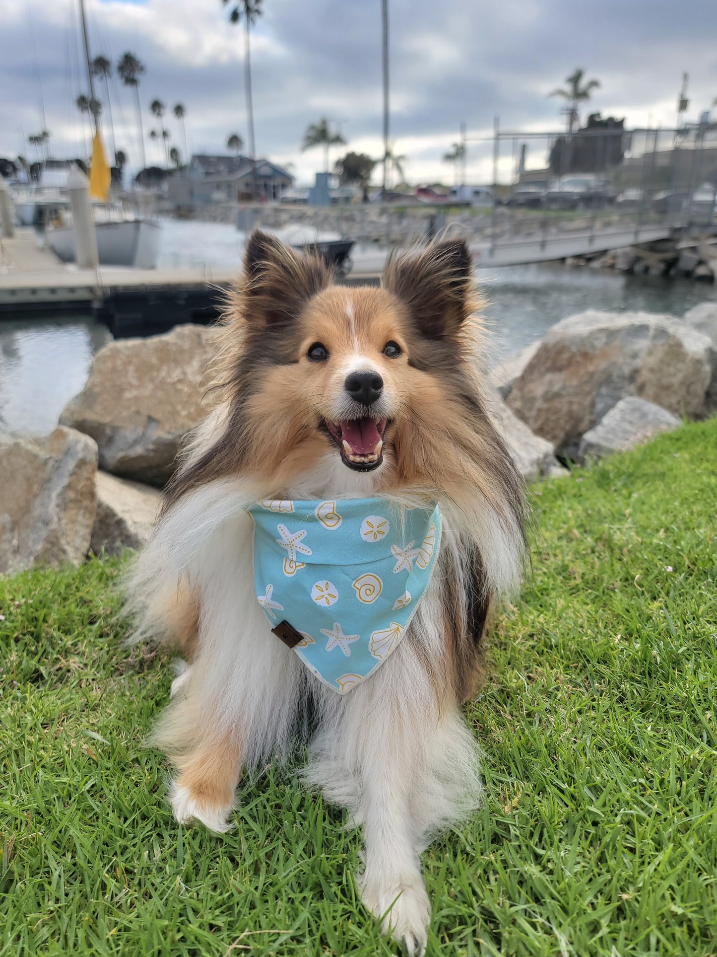 Blue Seashell Bandana