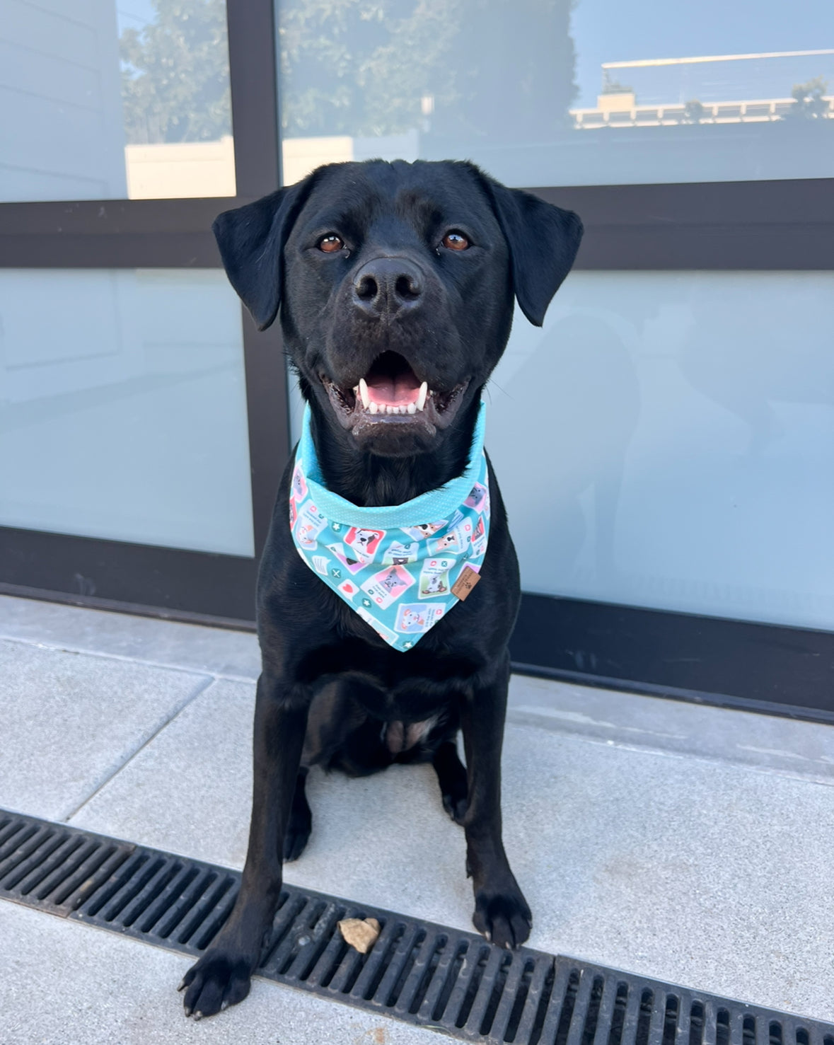 Swipe Right Bandana