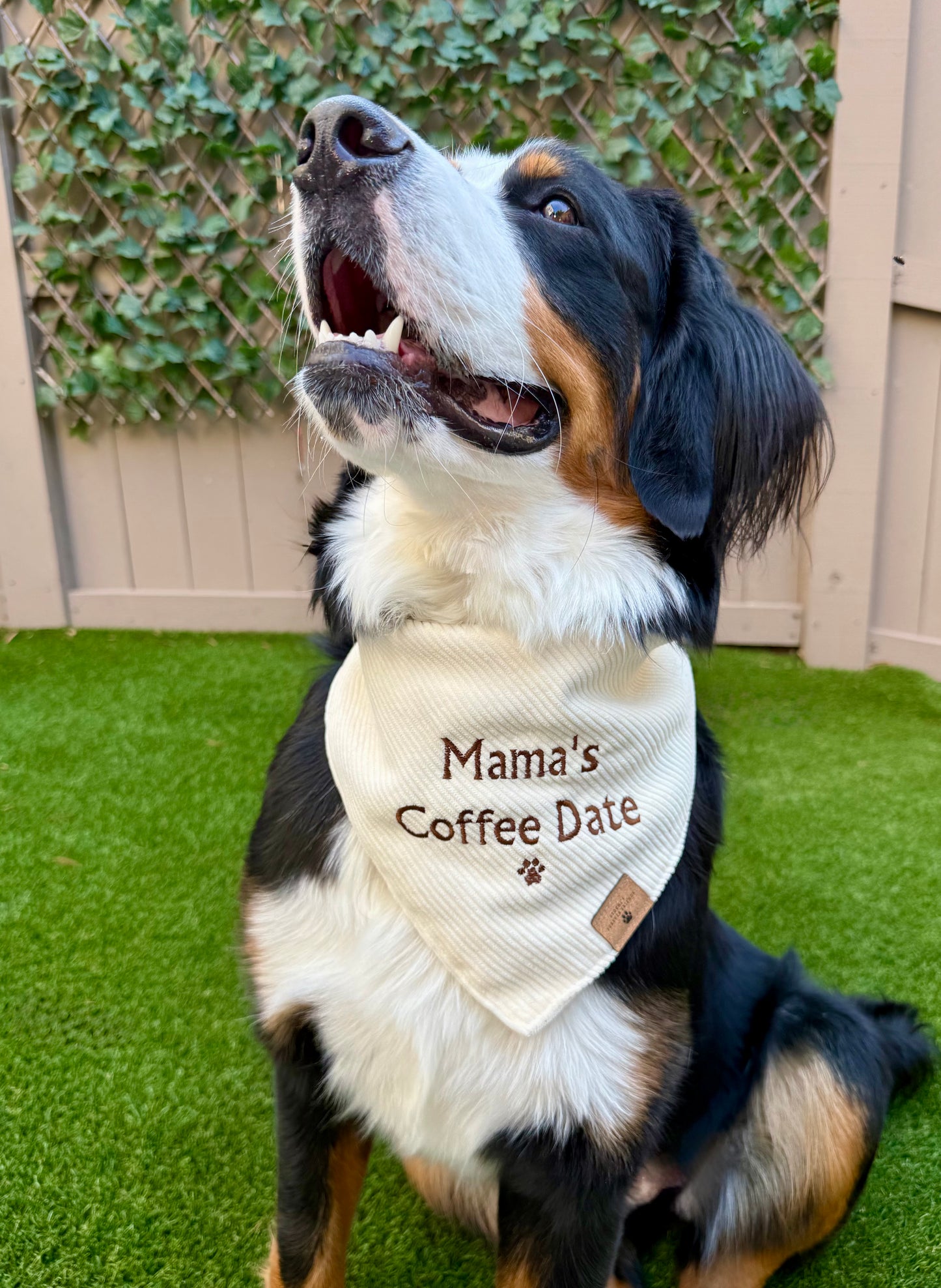 Mama's Coffee Date Bandana