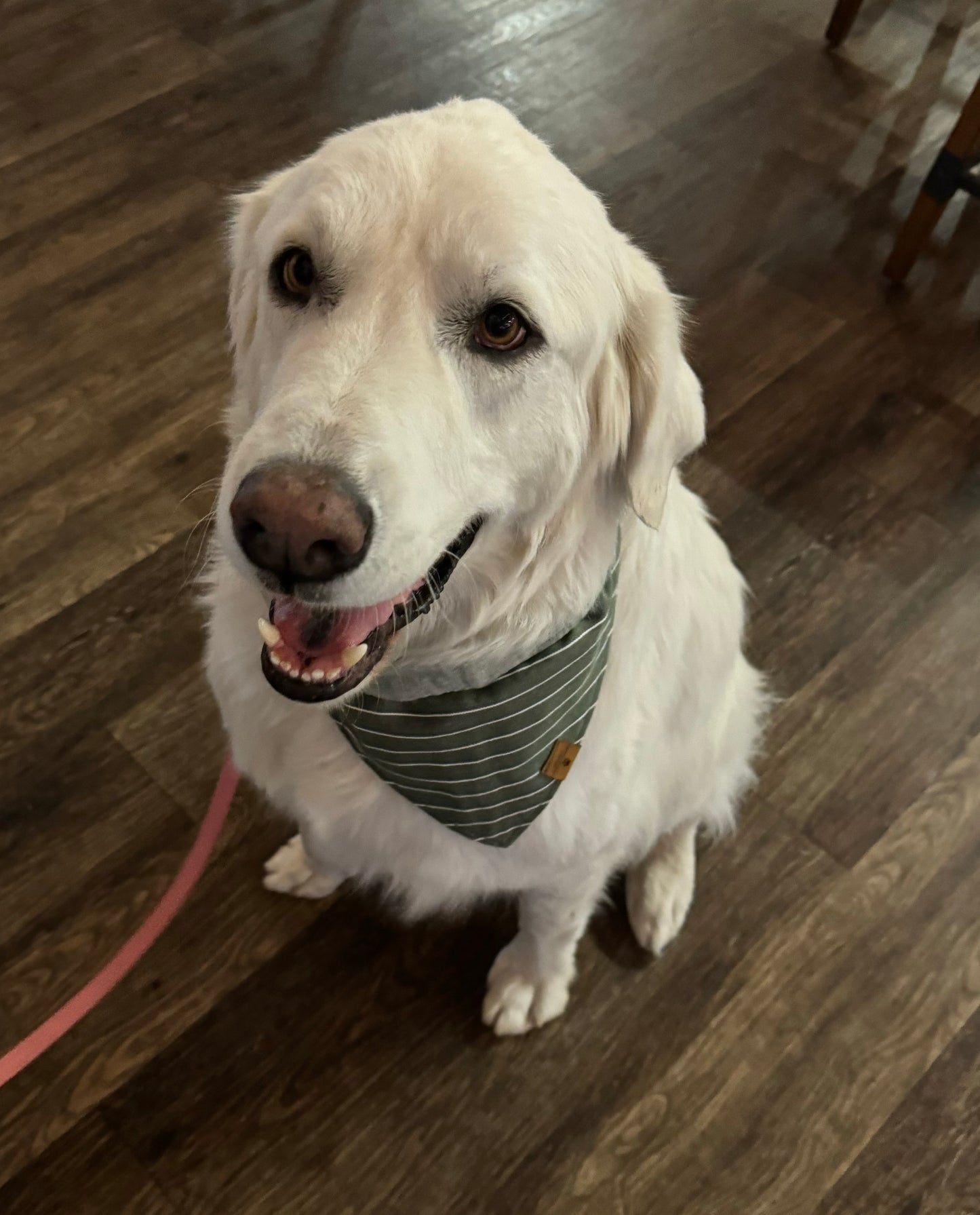 Hunter Bandana