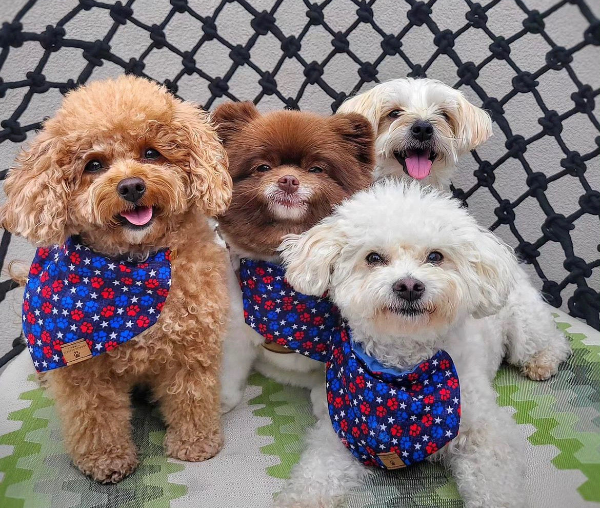 Red White & Paws Bandana