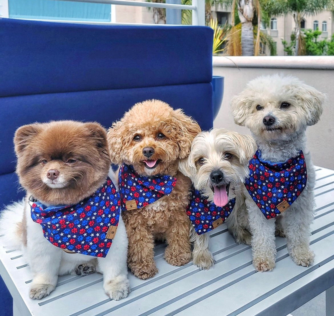 Red White & Paws Bandana