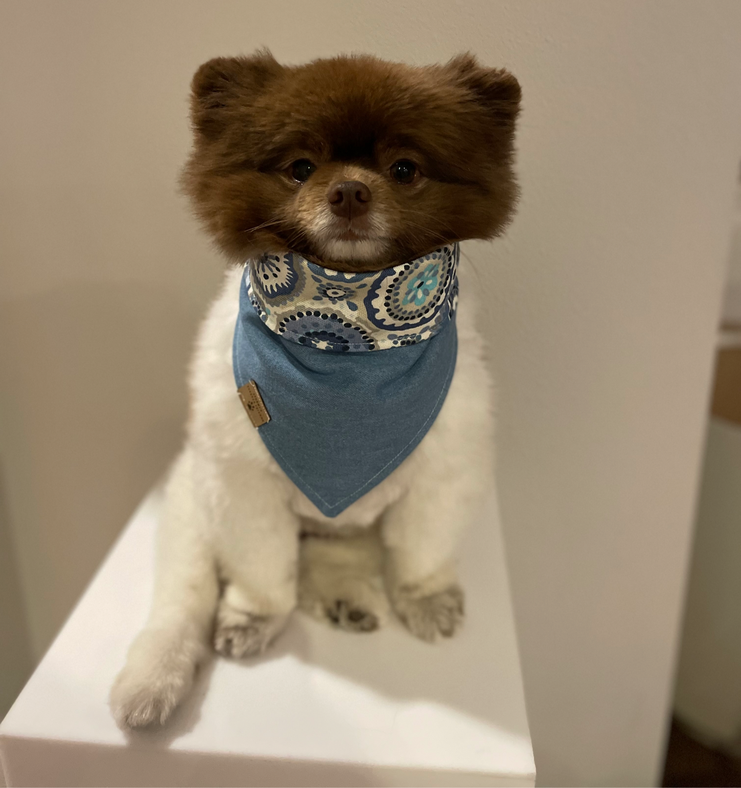Cooper Bandana