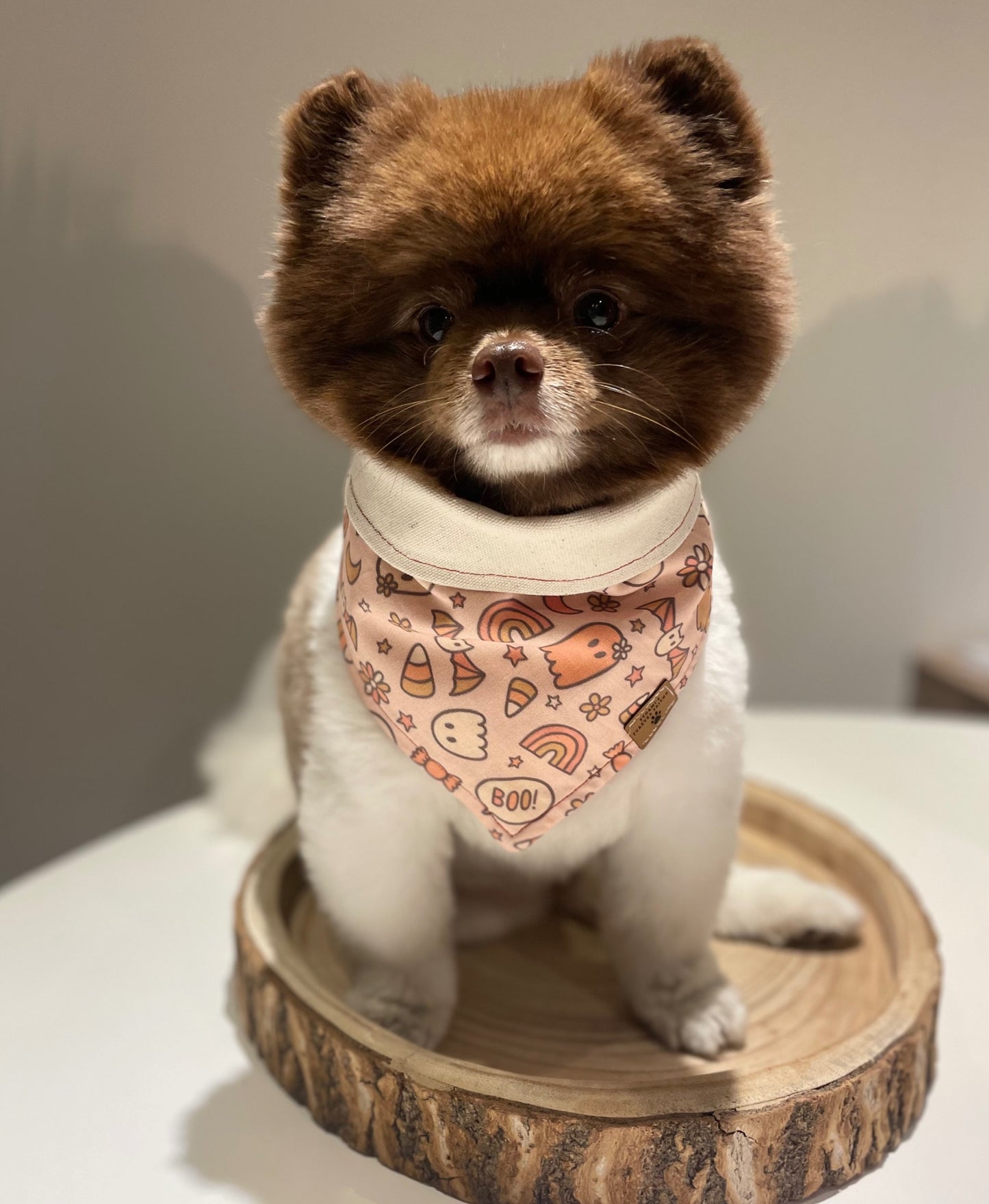 Spooky Bandana