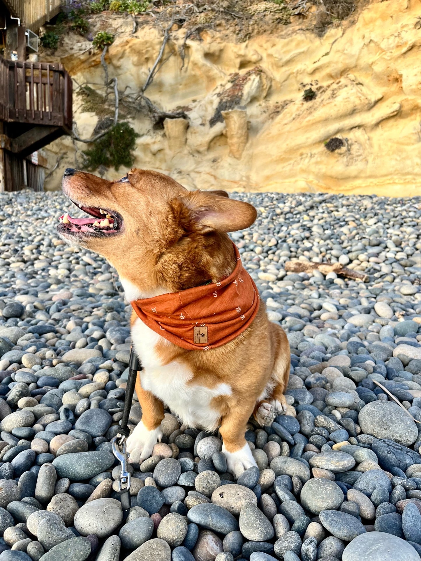 Arrow Infinity Scarf