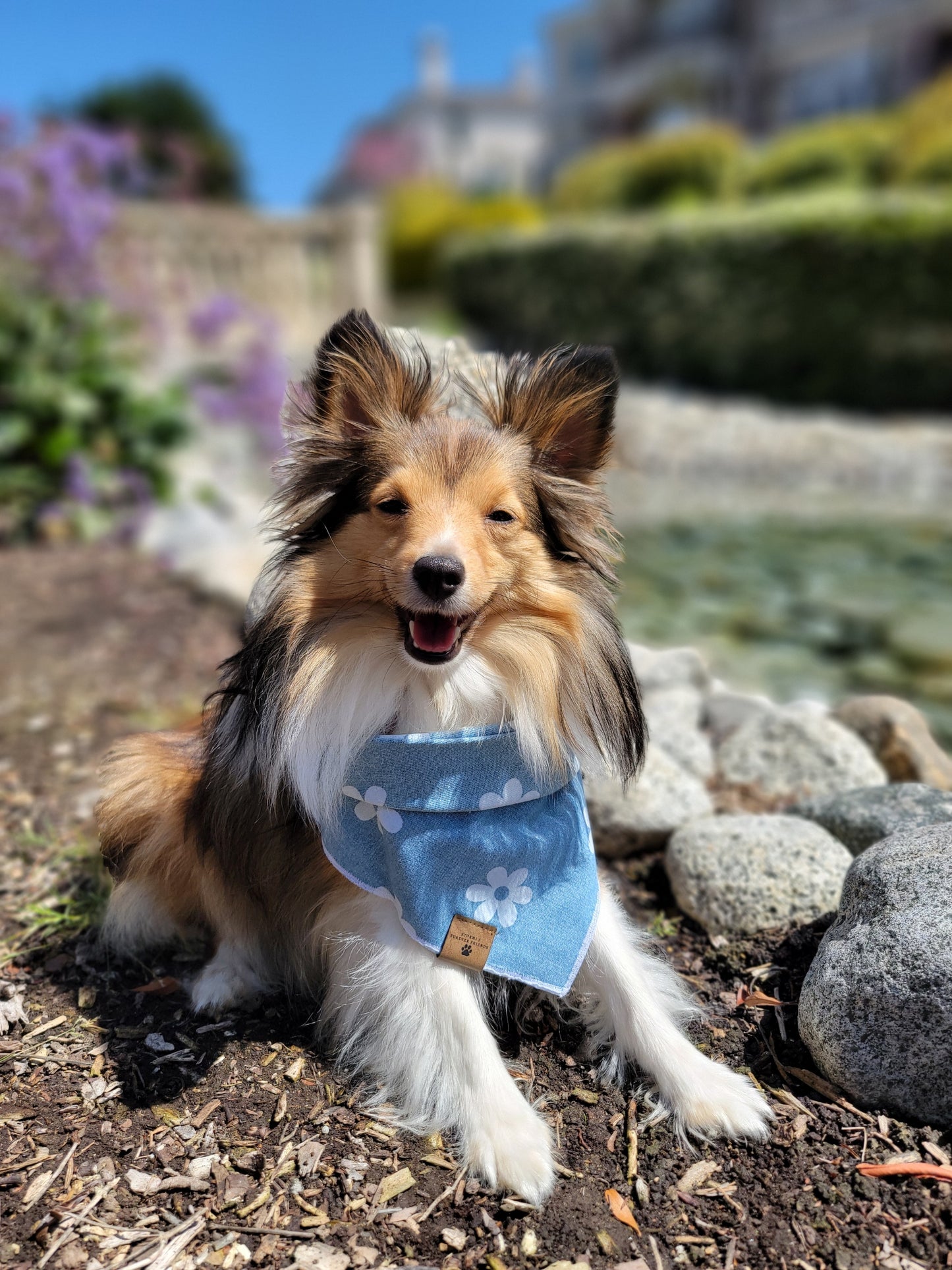 Denim Daisy Bandana