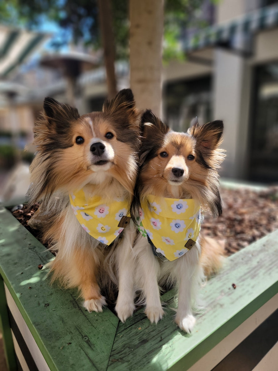 Spring Smiles Yellow Bandana