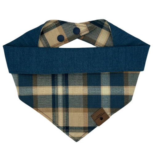 Aspen Bandana
