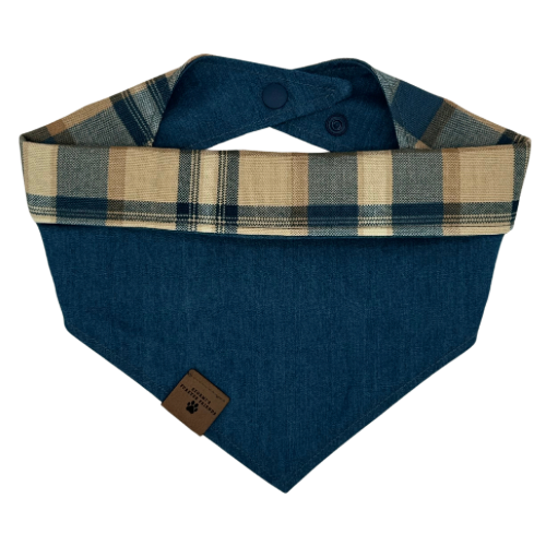 Aspen Bandana