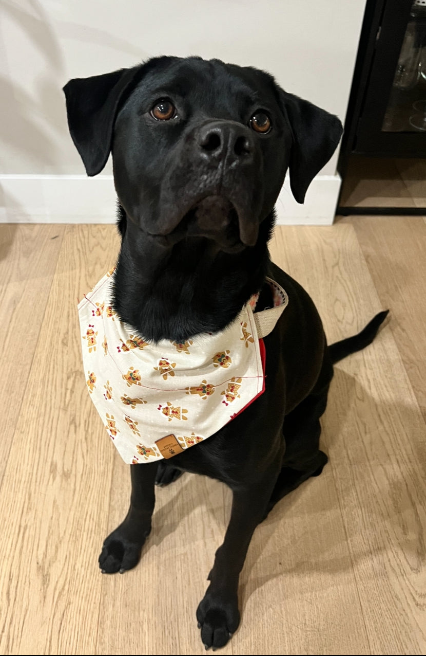 Gingerbread Bandana