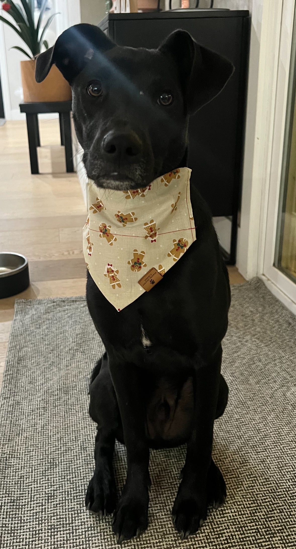 Gingerbread Bandana