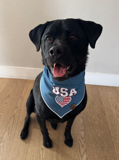 USA Bandana