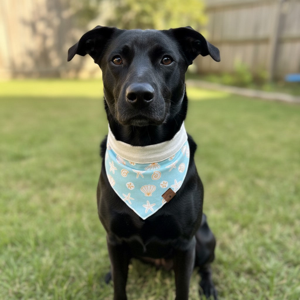 Seashell Bandana