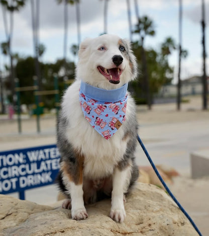 Bear Hug Bandana