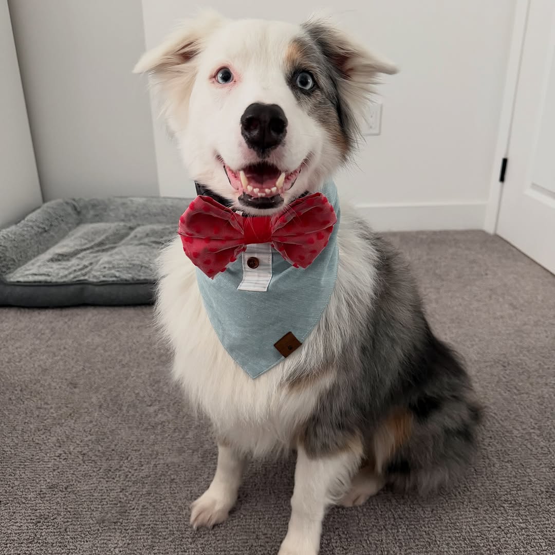 Heartbreaker Bow Tie