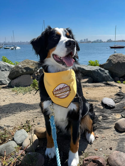 Pawdres Bandana