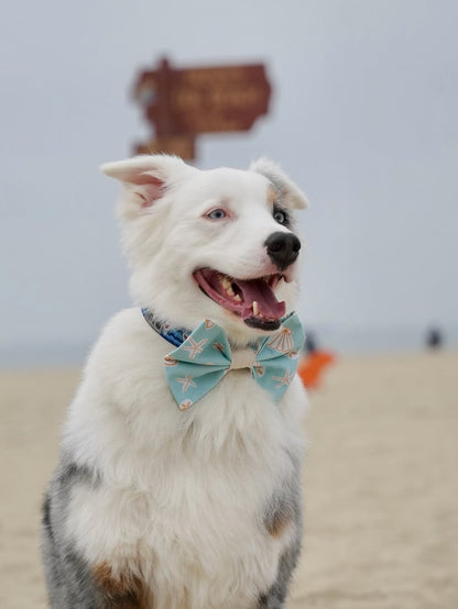 Blue Seashell Bow Tie