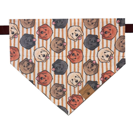 Doodle Bandana