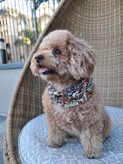 Dottie Infinity Scarf