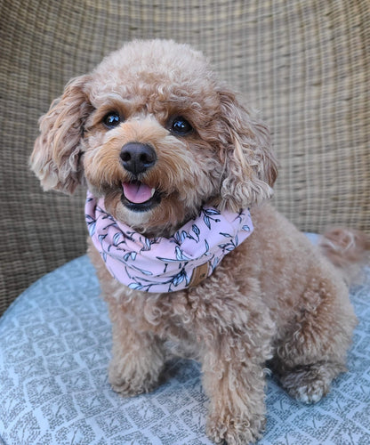 Bella Infinity Scarf