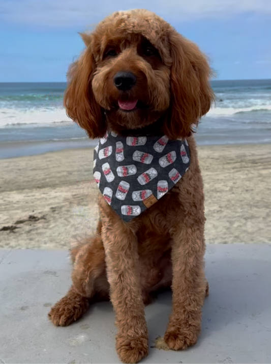 Beer Bandana
