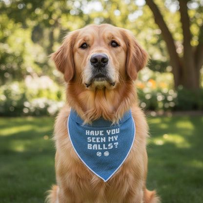 Have You Seen My Balls Bandana