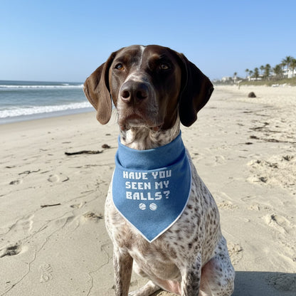 Have You Seen My Balls Bandana