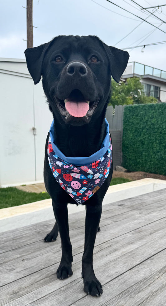 Firework Snap Bandana
