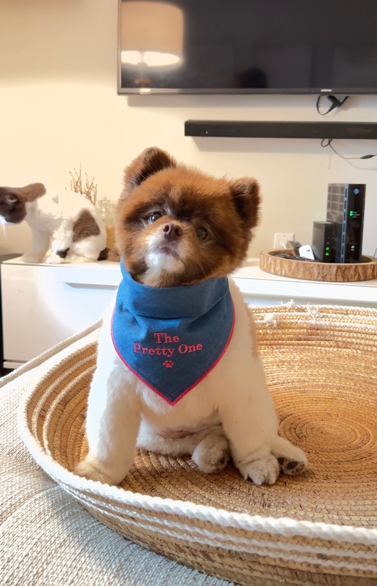 'The Pretty One' Embroidered Bandana