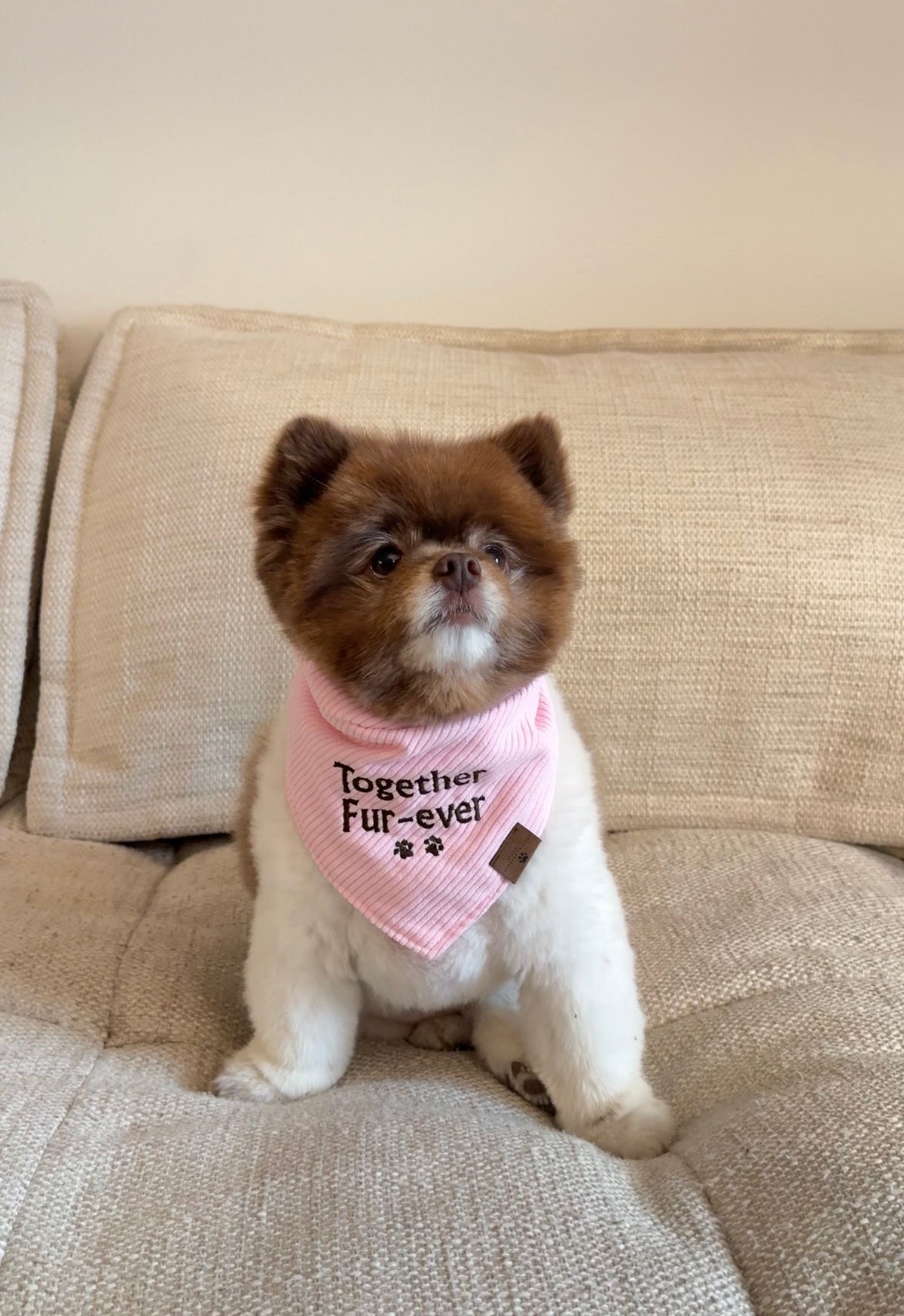'Together Fur-ever' Embroidered Bandana