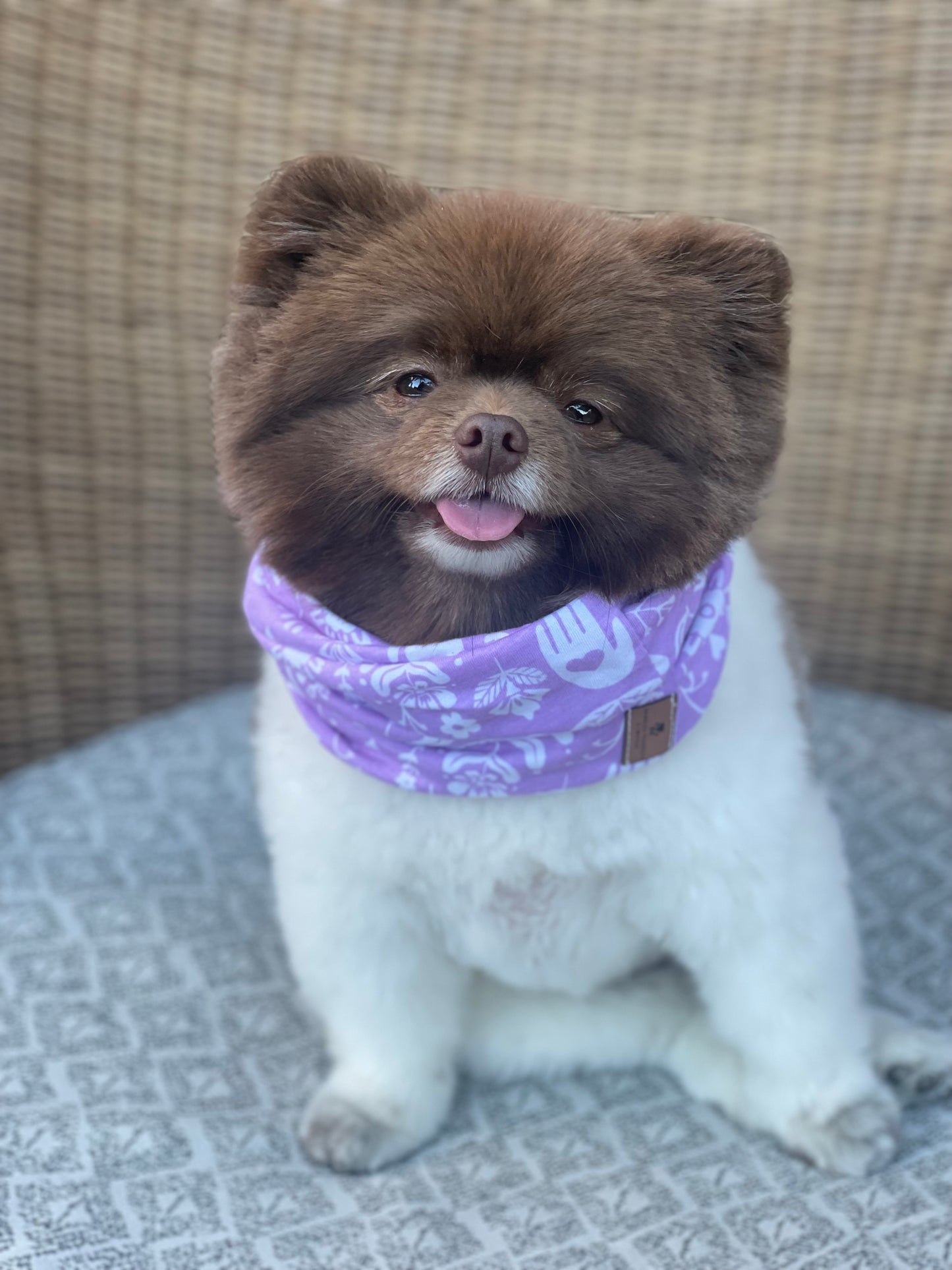 Maggie Infinity Scarf