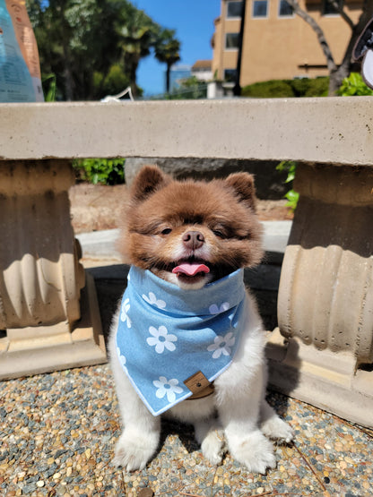 Denim Daisy Bandana