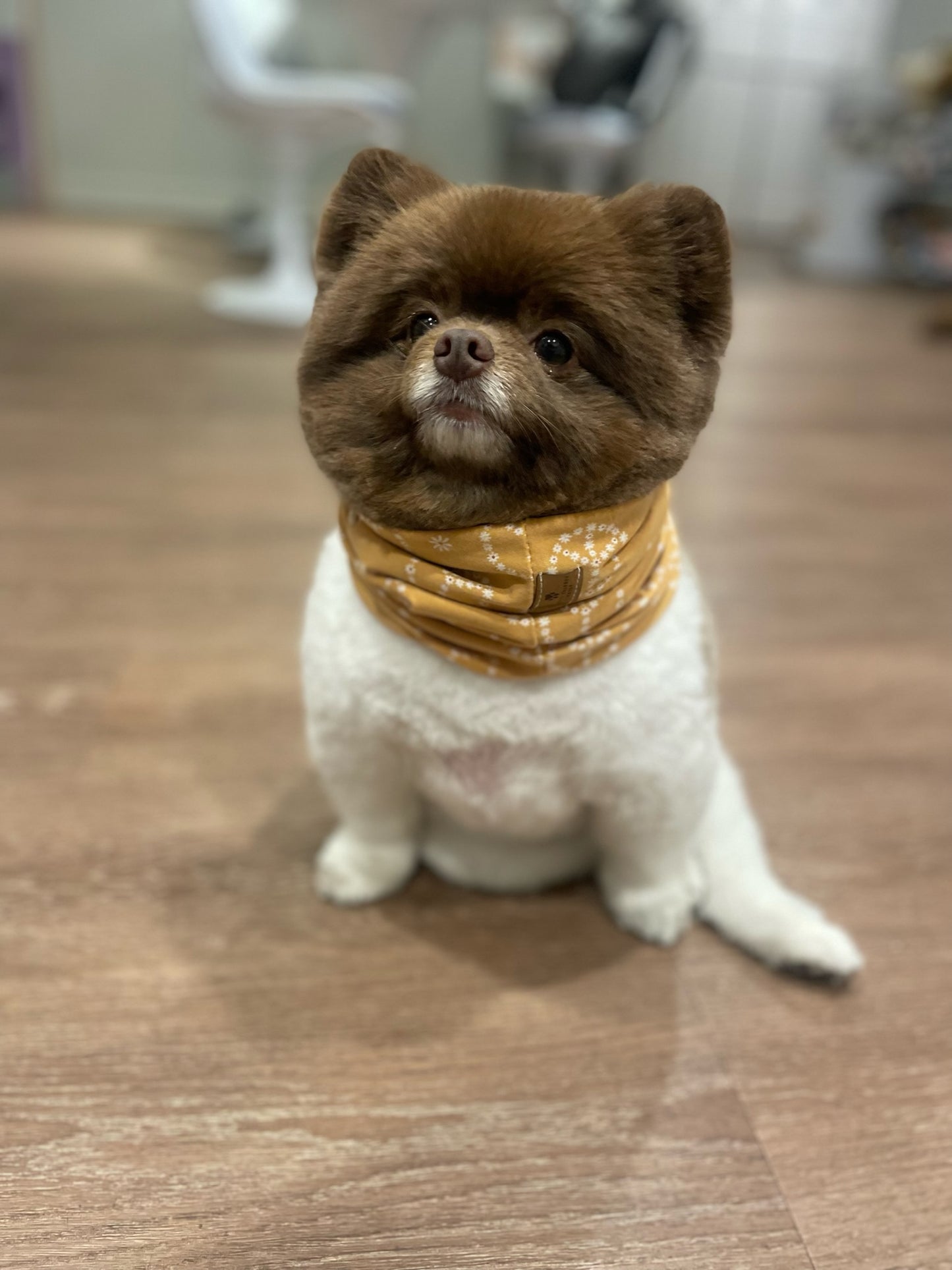 Goldie Infinity Scarf