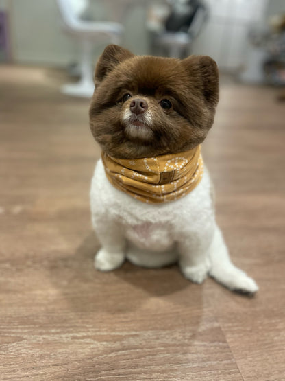 Goldie Infinity Scarf