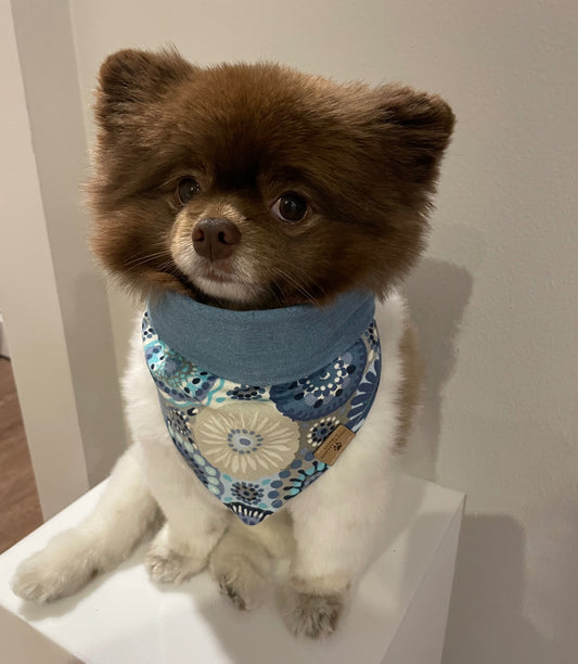 Cooper Bandana