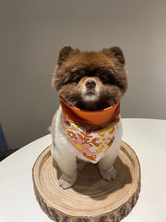 Delilah Bandana