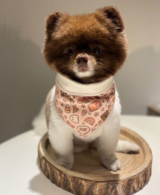 Spooky Bandana