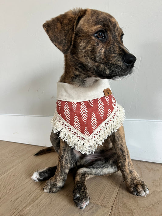 Sadie Bandana