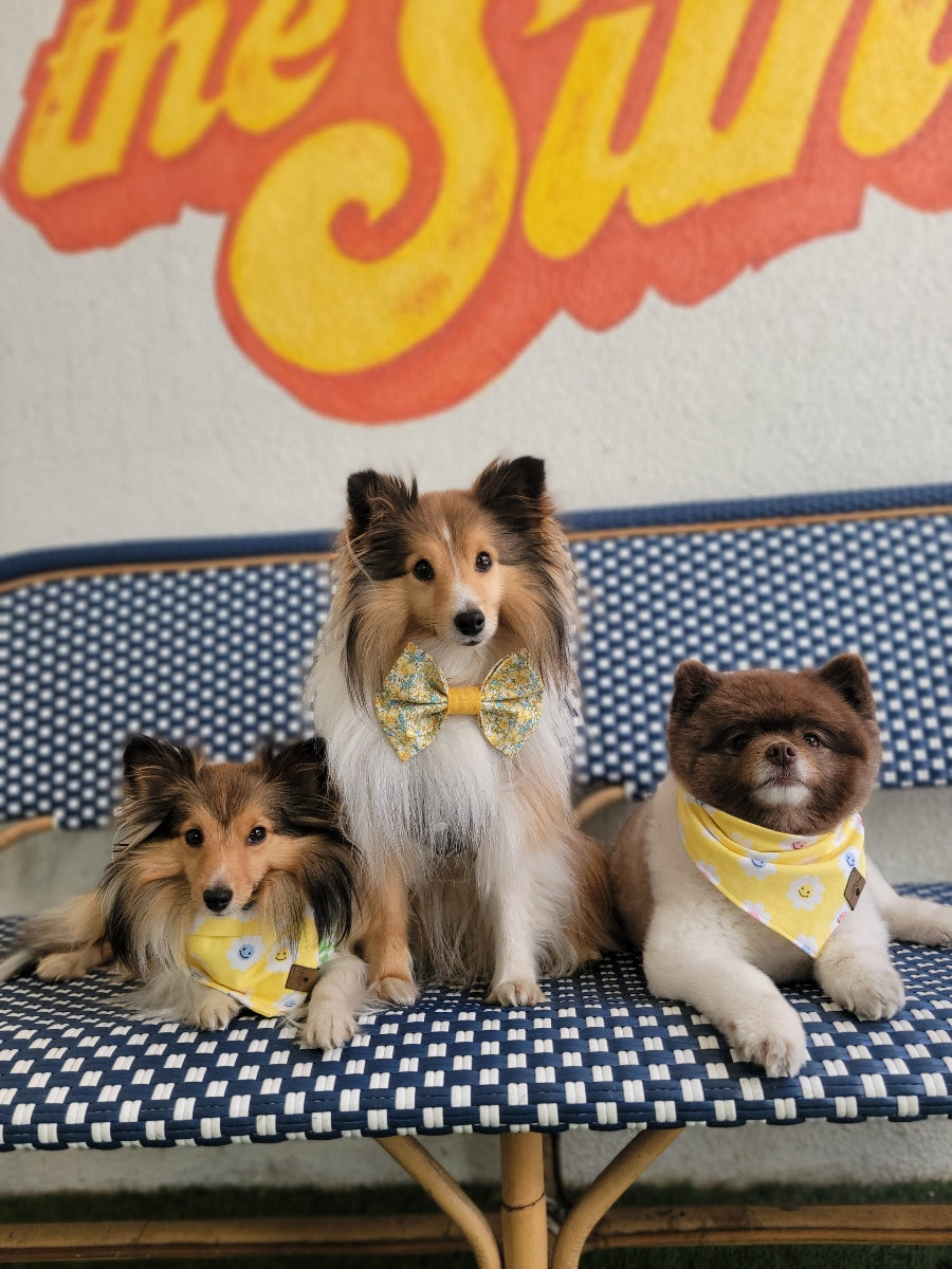 Spring Smiles Yellow Bandana