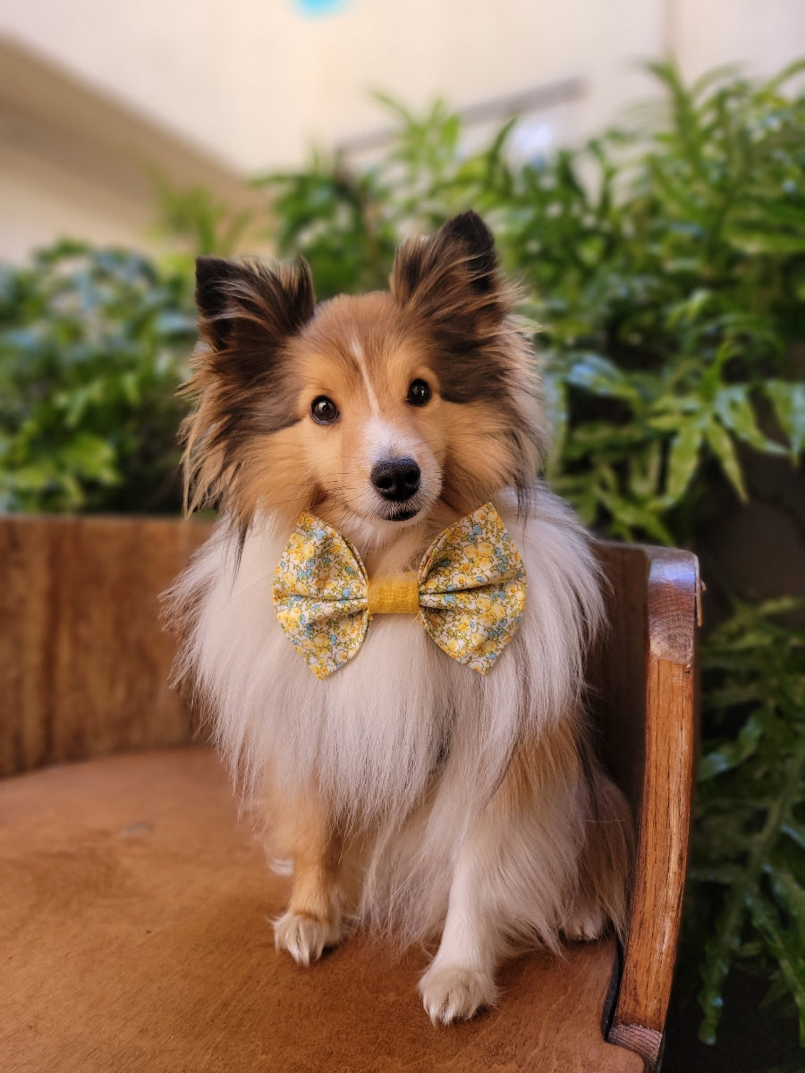 Spring Fling Bow Tie