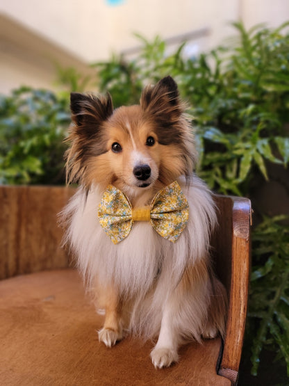 Spring Fling Bow Tie