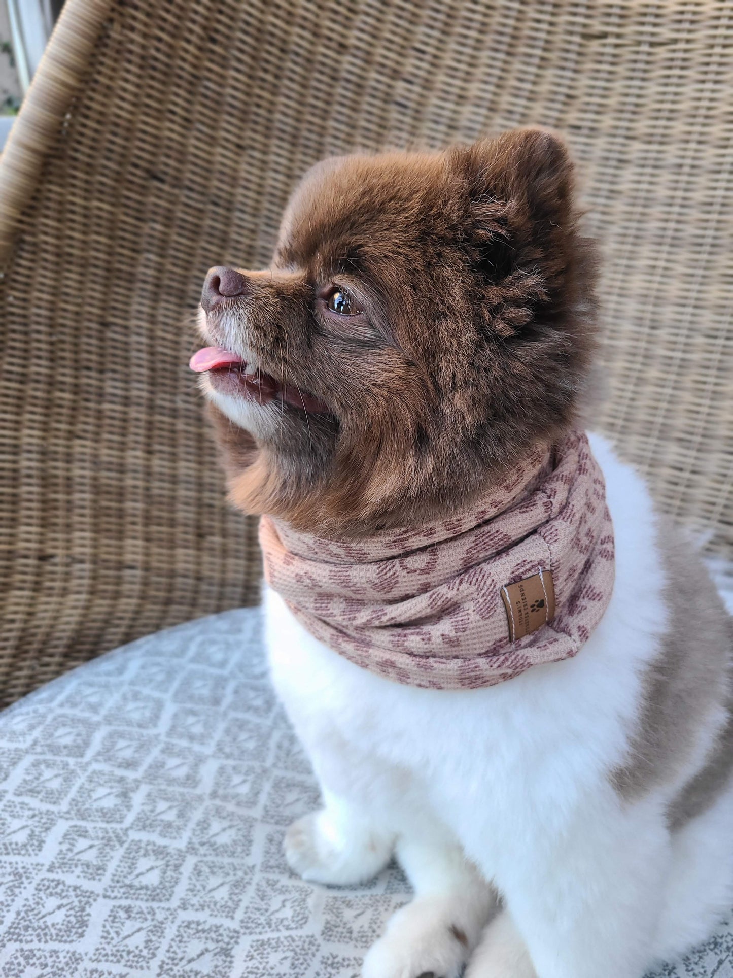 Stormi Infinity Scarf