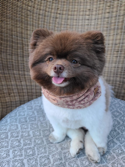 Stormi Infinity Scarf