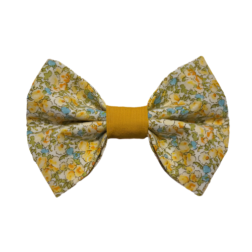 Spring Fling Bow Tie