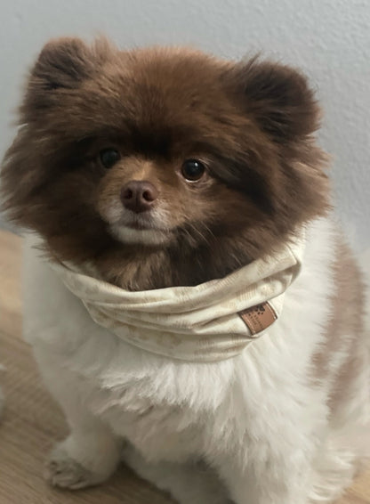 Stormi Infinity Scarf